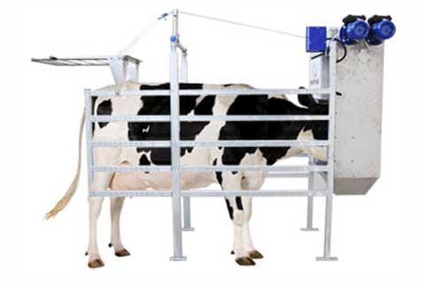 distributeur nourriture hors salle Dairymaster