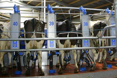 contention automatique