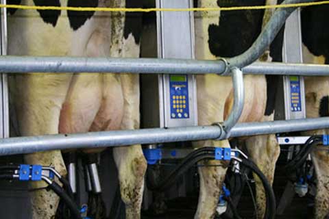 unite protection inox