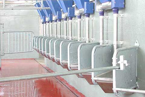 mangeoires angulaires